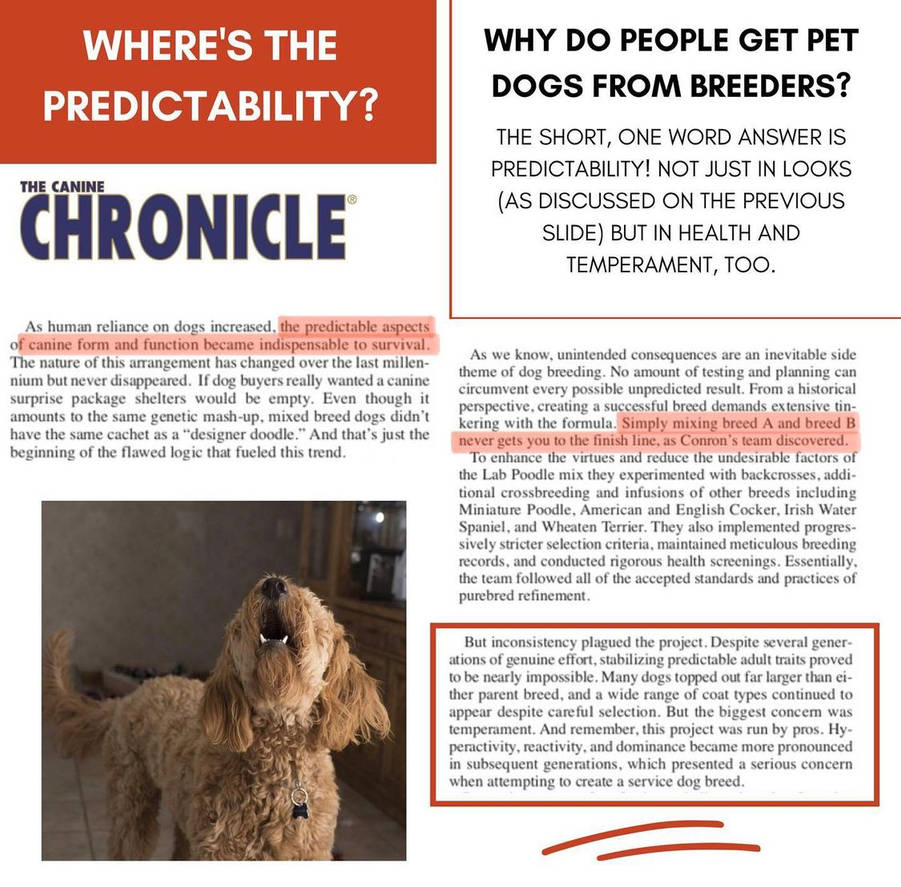 da70d16a_0ca7_4111_a7f1_ac9eda5504c3_by_