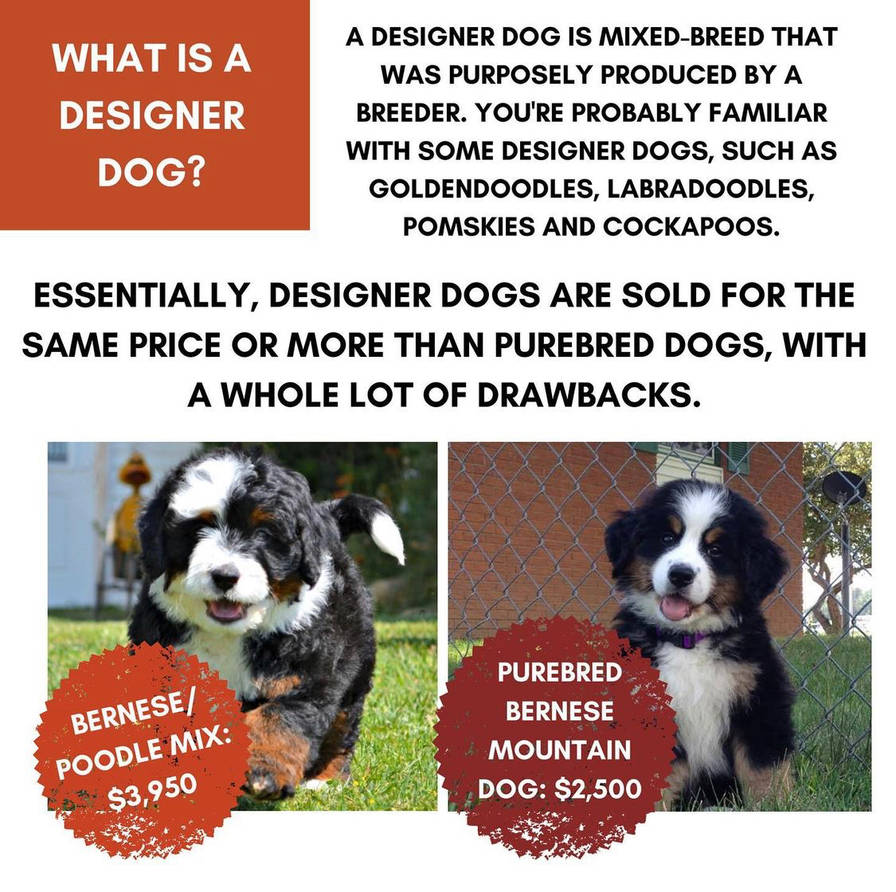 5cb604ac_eace_4cea_8488_077fed851891_by_