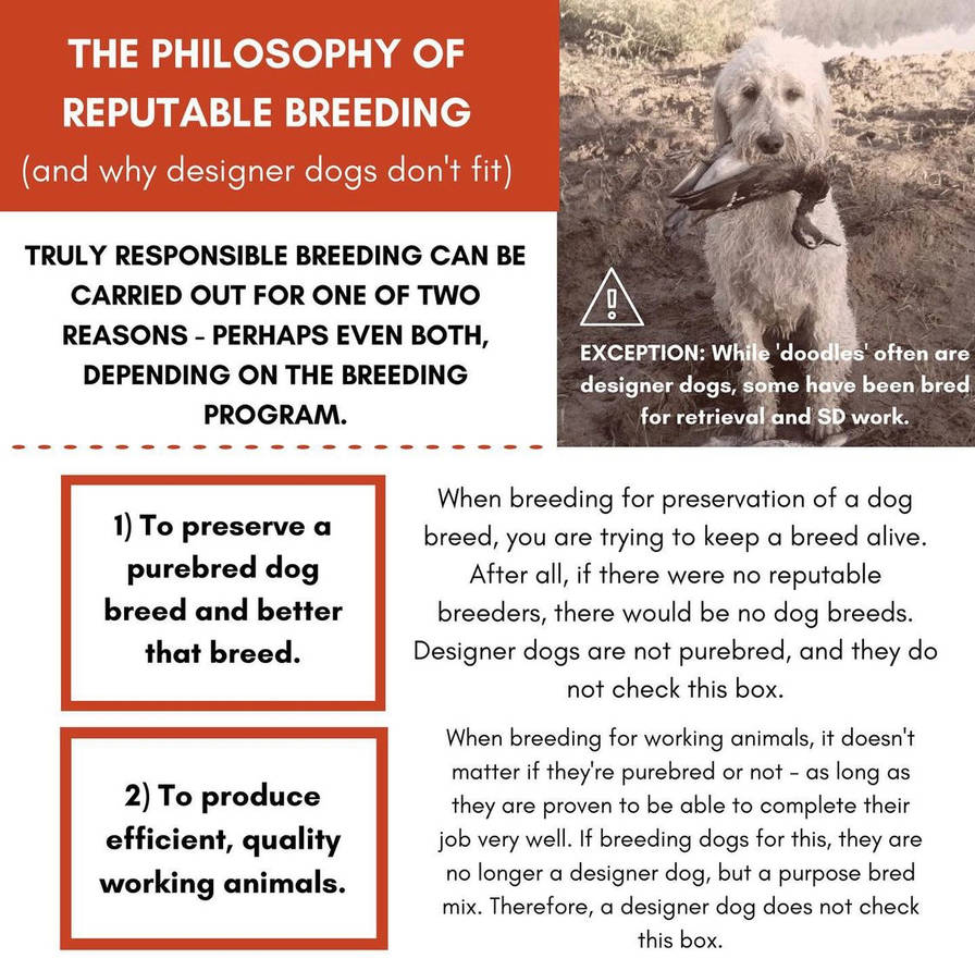 fc2419df_422b_4dca_8f65_40406c6e11e7_by_