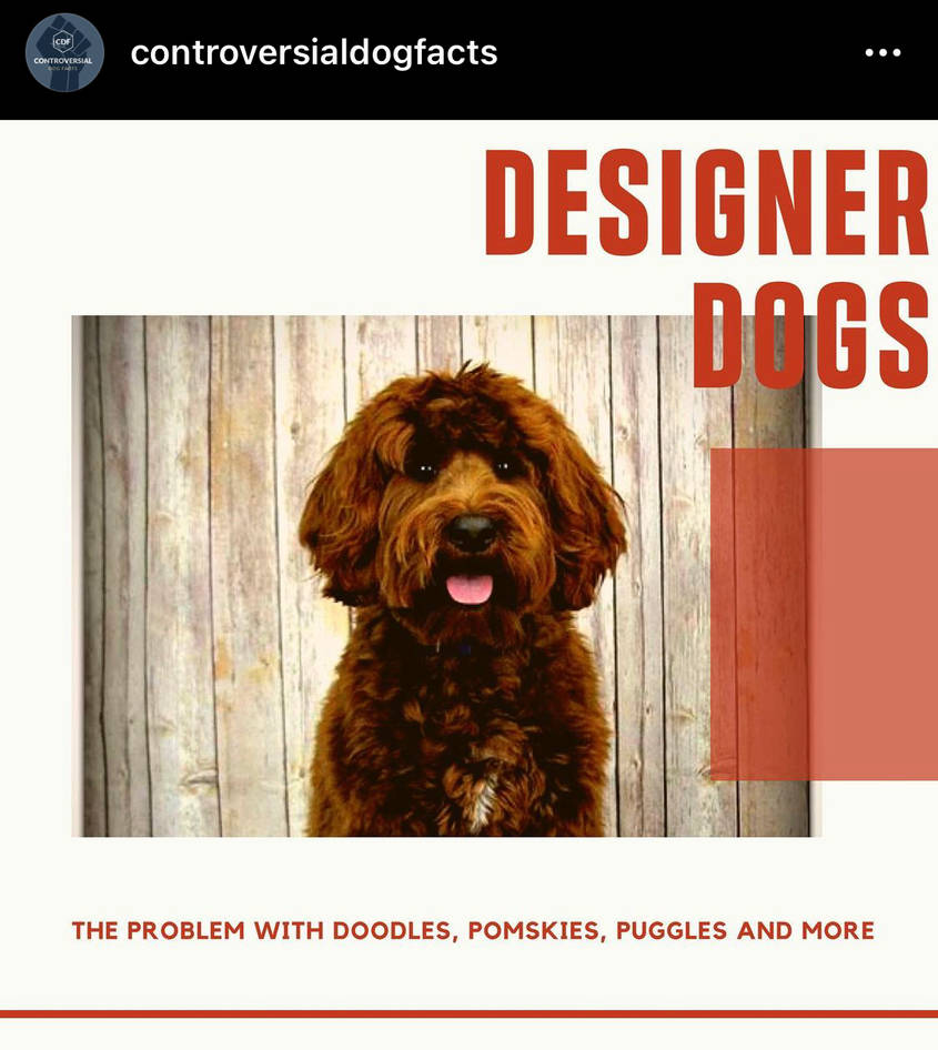 f184a894_2557_40d6_9b1e_e52fce80c05b_by_