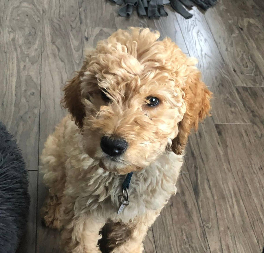 69d3ad4d_b889_4e8c_999e_f132fc4867da_by_