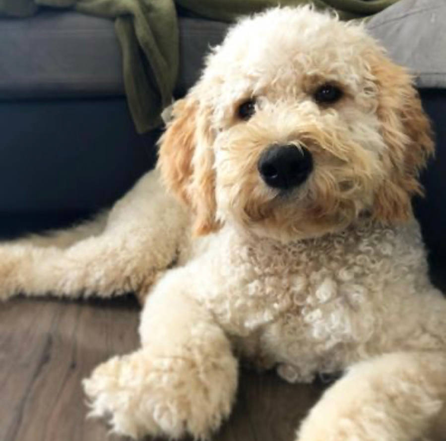 63585b40_2349_4d9c_a9f9_9b6fdacecbd0_by_