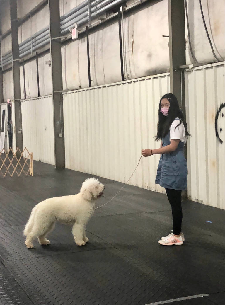 945bb923_6416_4987_b91f_3271acdc571f_by_