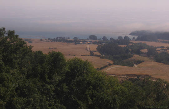 View from Hearst Castle