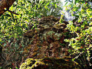 Rock Face with Lichen