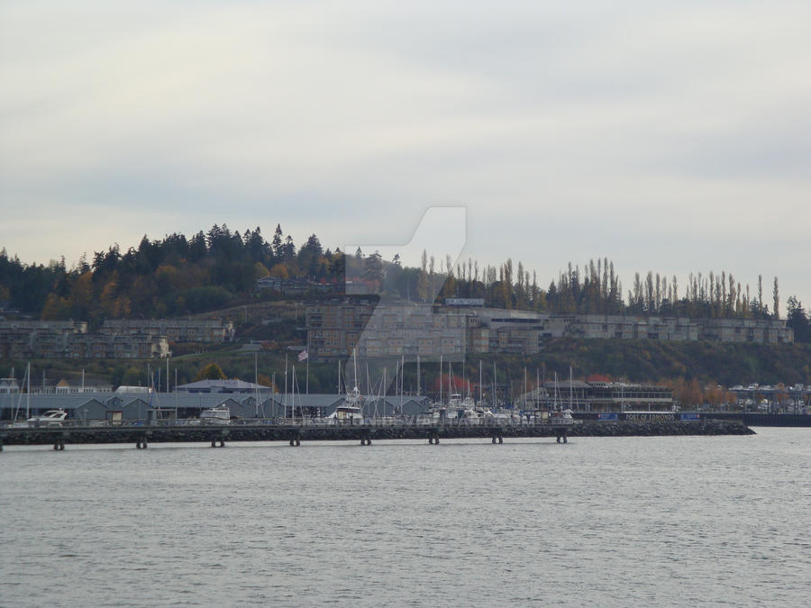 Edmonds Marina