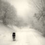 to stand in bewilderment