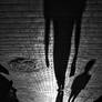 catch shadows 01