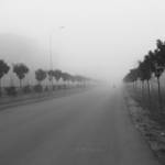 in the mist by pigarot