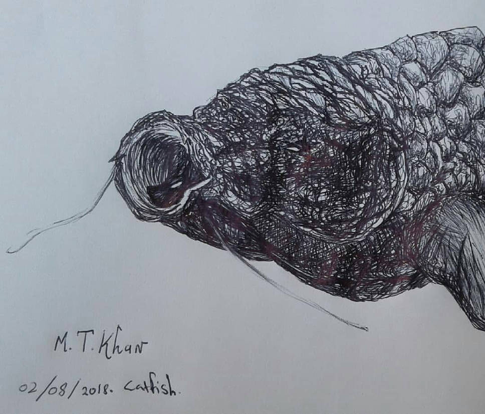 catfish by mtaahirk3 on DeviantArt