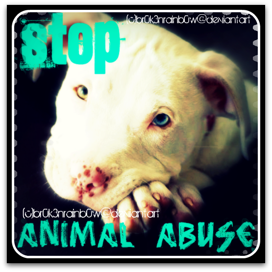 :Stop Animal Abuse: