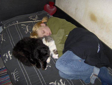 EVILcatssleeping_10.01.2007