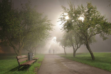 fog in Salaspils