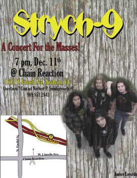 strych-9 band flyer