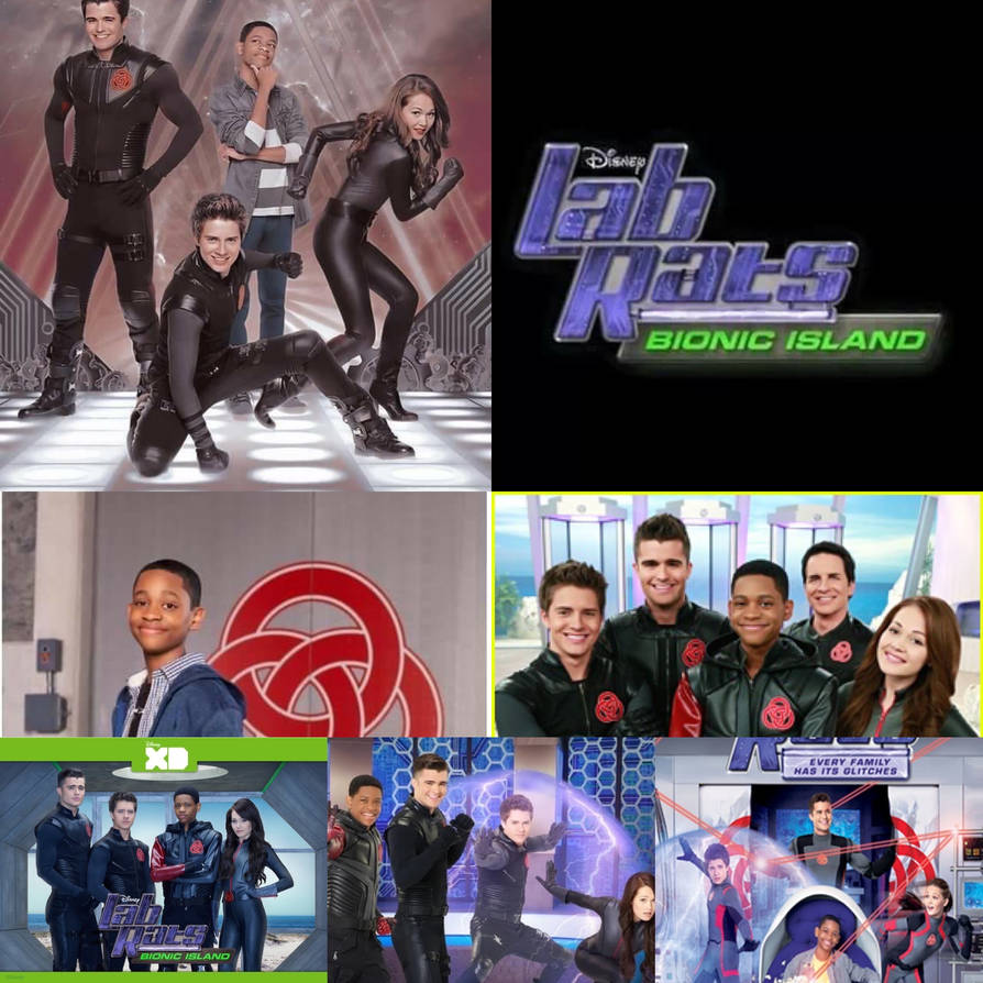 Lab rats collage 5 by pinkzeo1 on DeviantArt