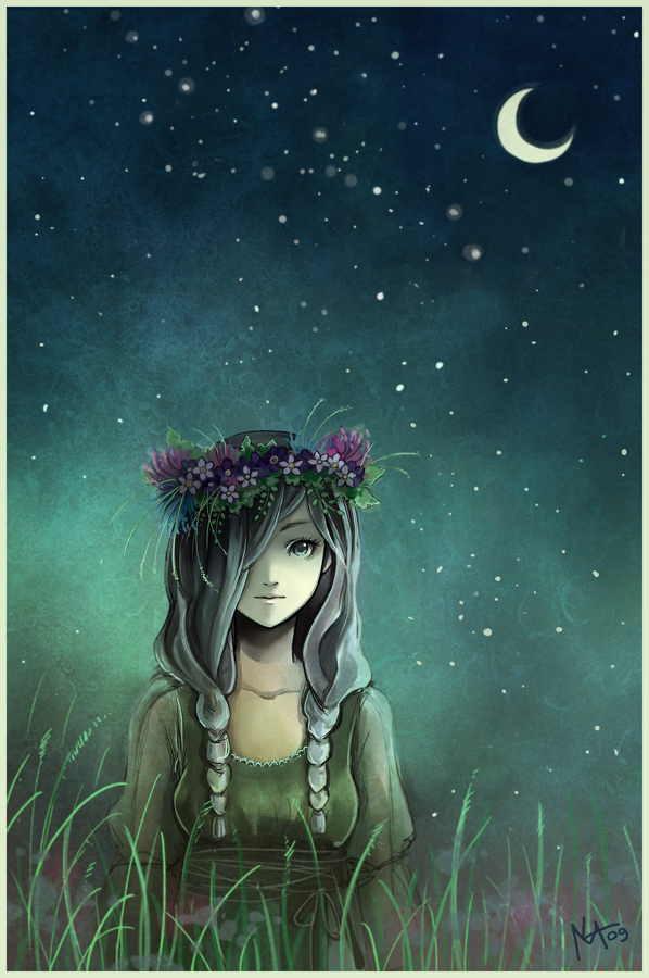 Moon Field by Radittz