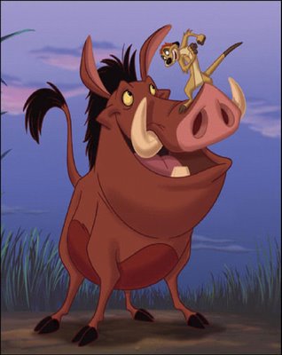 timonandpumbaa