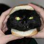 Squeaky Burger