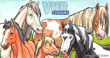 VHR Forum Banner