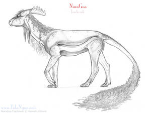 NuraGua Female