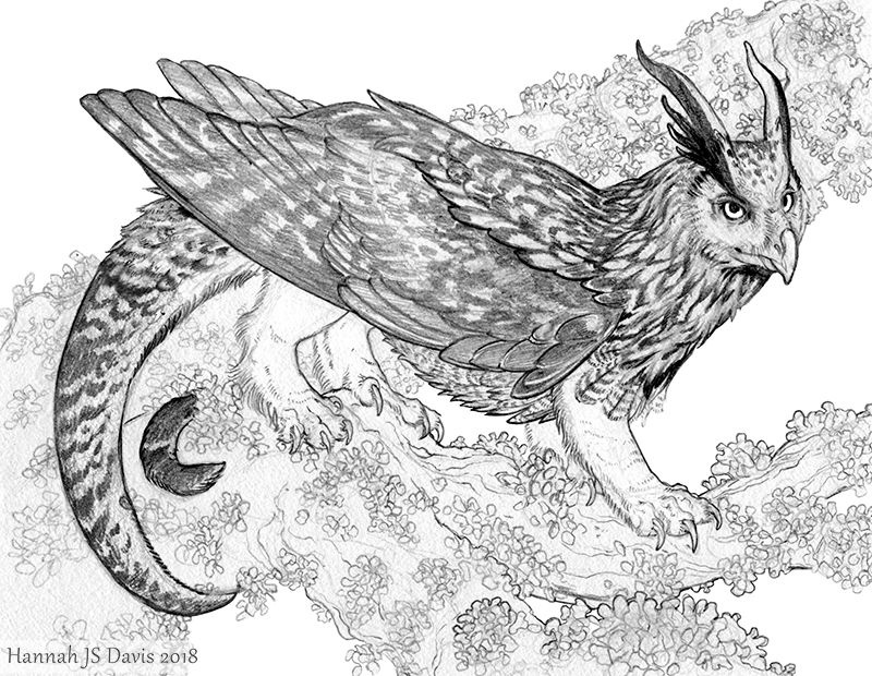 Little Book of Dragons: Eagle-Owl Drake