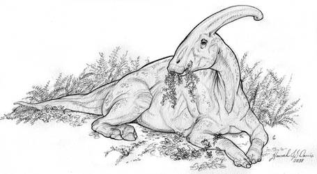 Parasaurolophus sketch commission