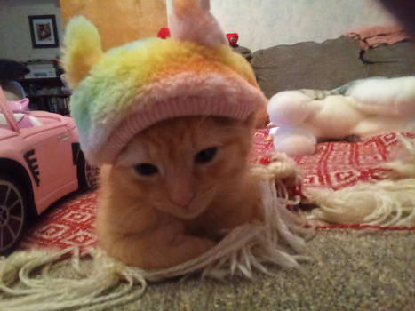 Cat with extremely fancy hat and his car