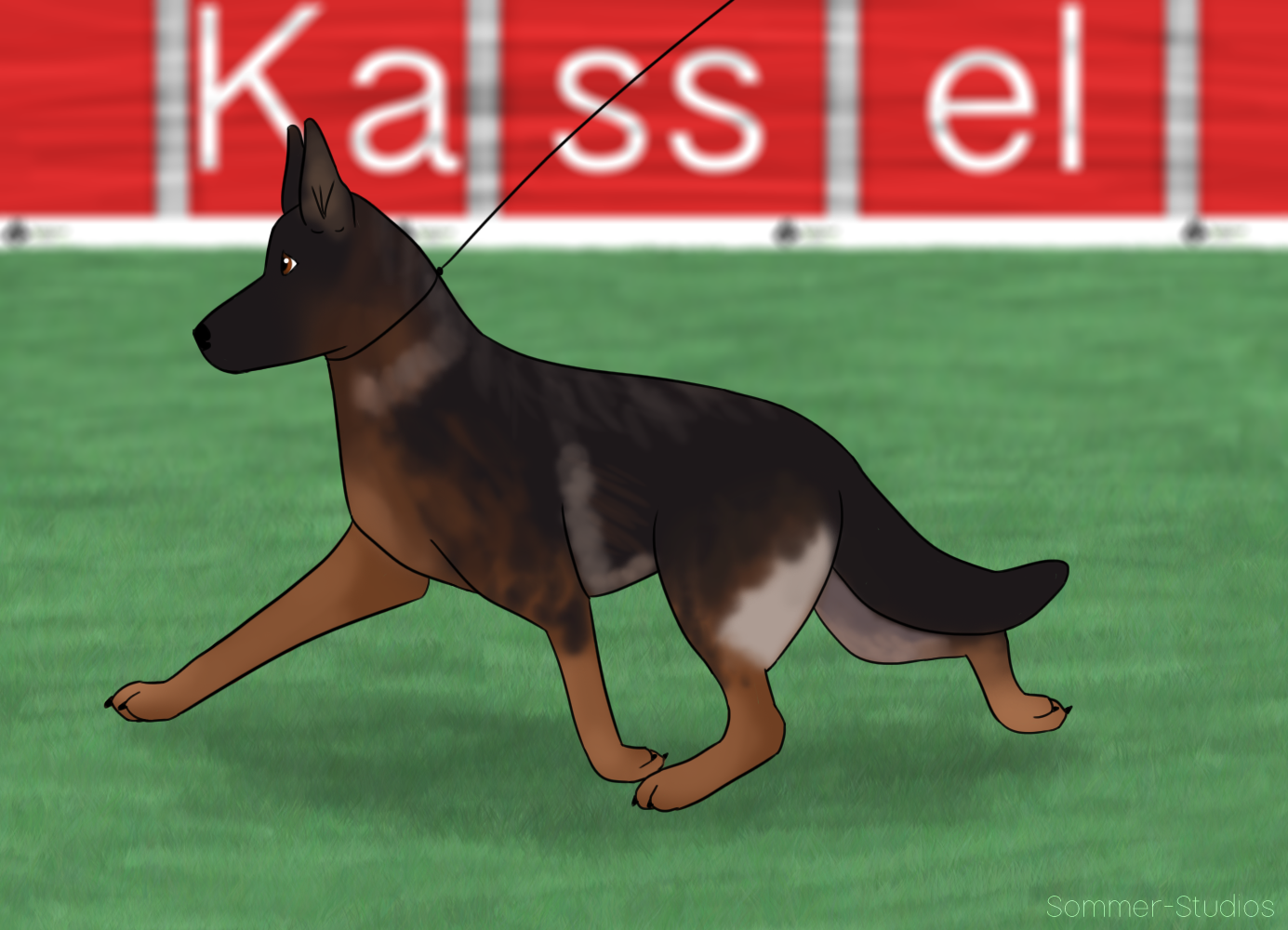 Dakota von Bastet - SV Bundessiegerzuchtschau 2014