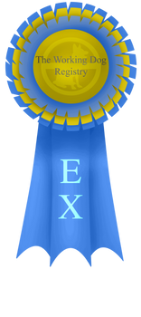 EX Ribbon