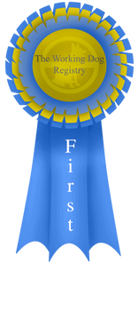 First Ribbon