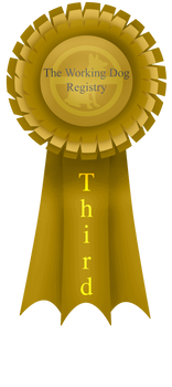 Third Ribbon