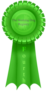 Fourth Ribbon