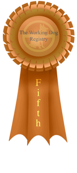 Fifth Ribbon