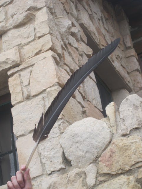 Condor Feather