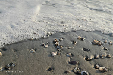 Froth and Shells