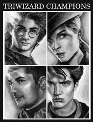 triwizard champions