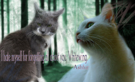 Warrior Cats Ashfur Tribute - E.T 