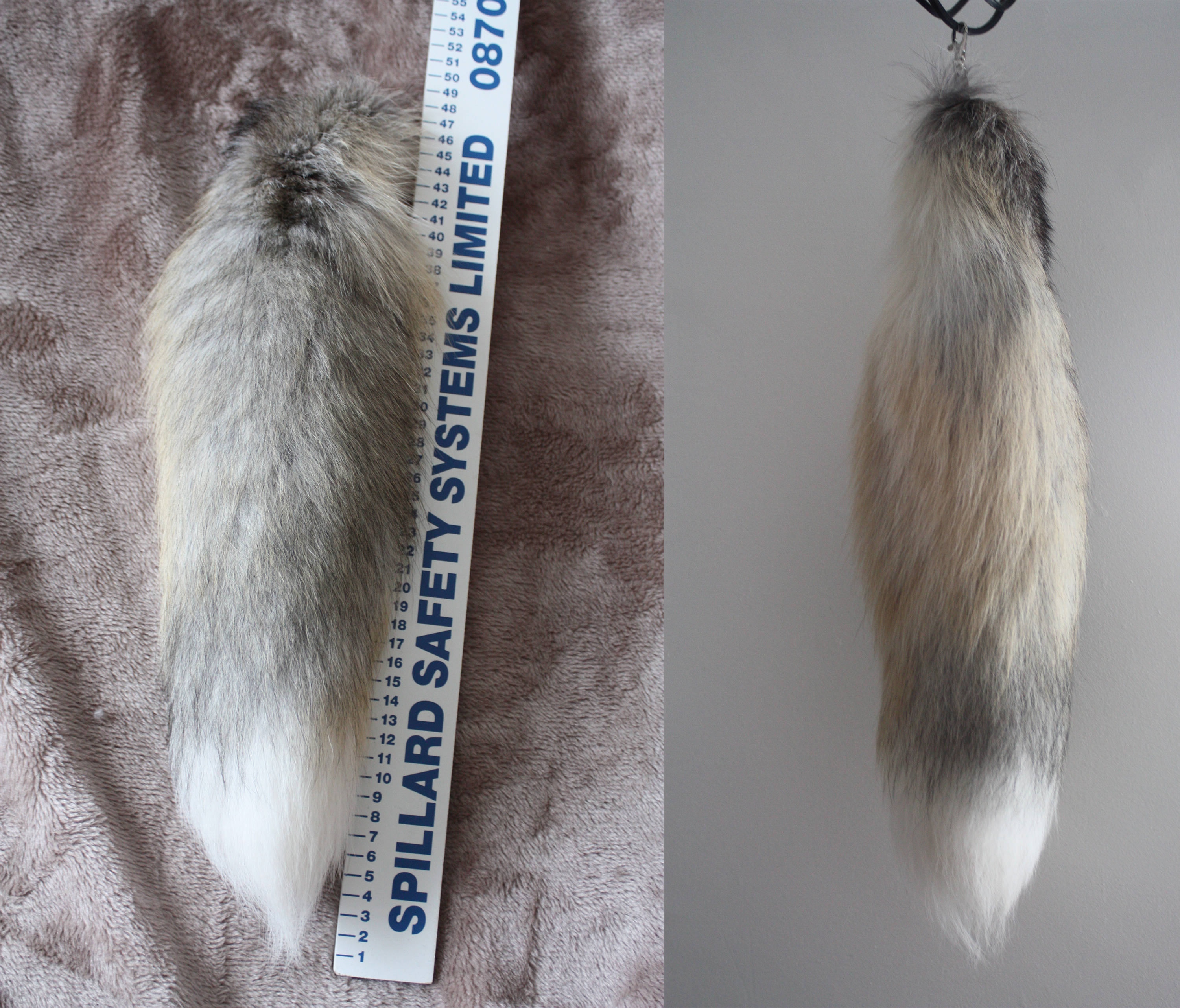 Golden Island Fox Tail SOLD