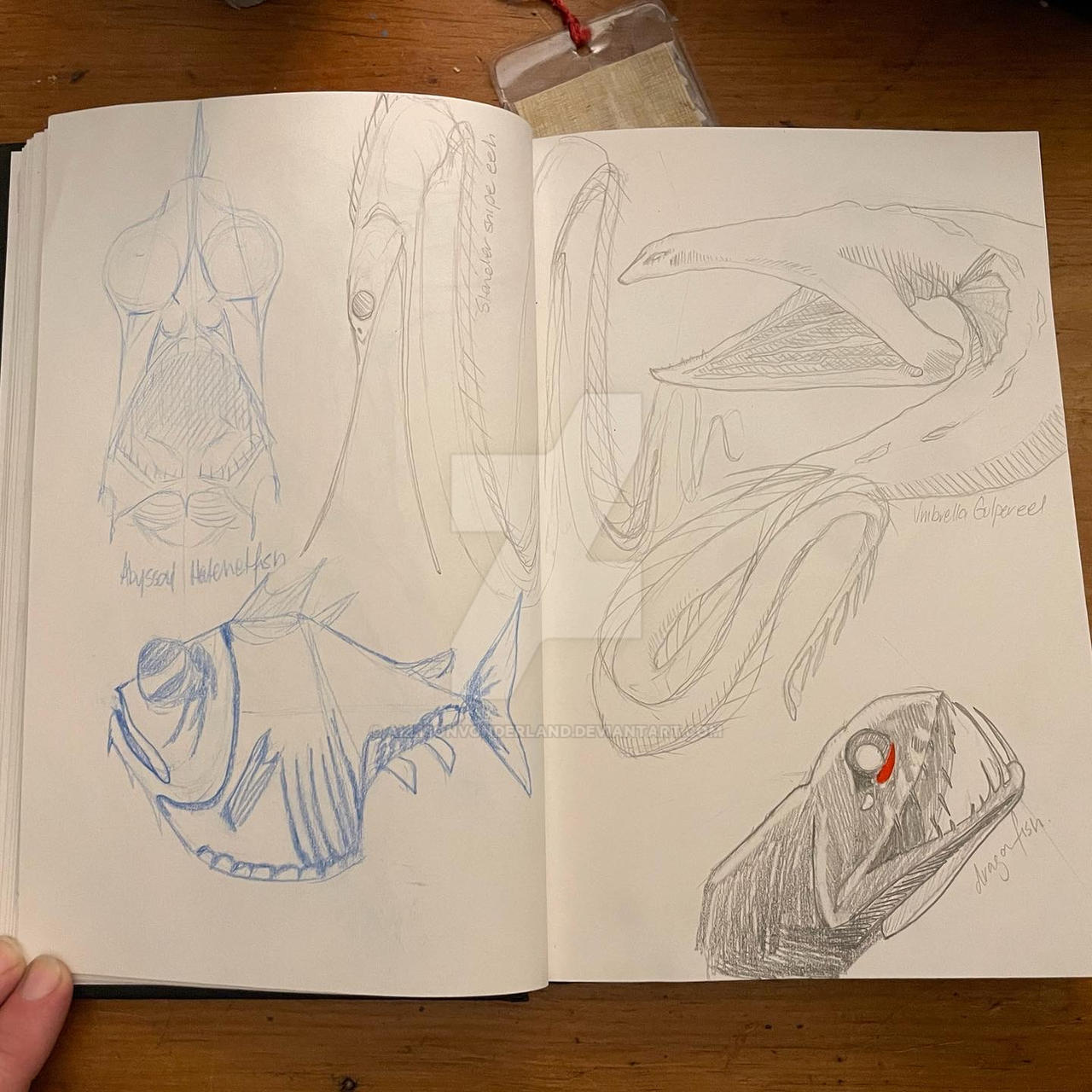 Abyssaur Rad Sketchbook - Abyssal Fish by AllisonvonDerland on DeviantArt