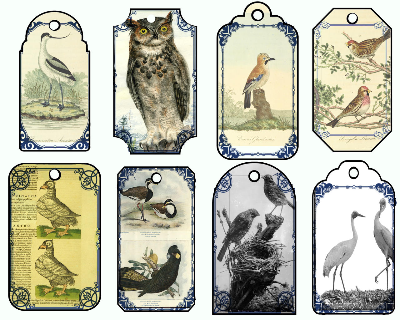 Bird Tags by Eclecticmarty on DeviantArt