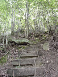 Wooden Stairway 2