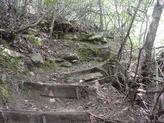 Wooden Stairway 3