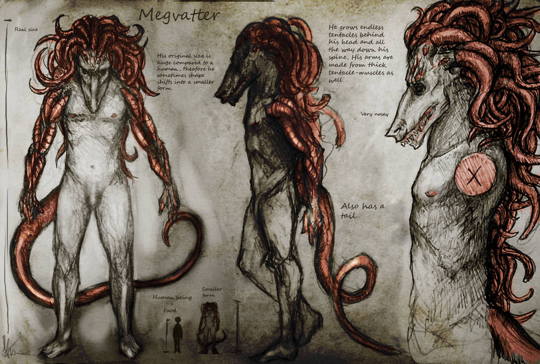 Megvatter by Snook-8