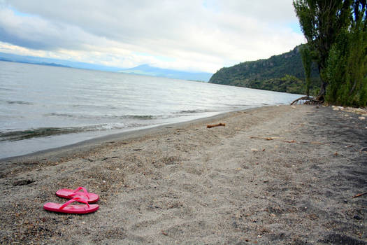 Flip Flops on the Shore