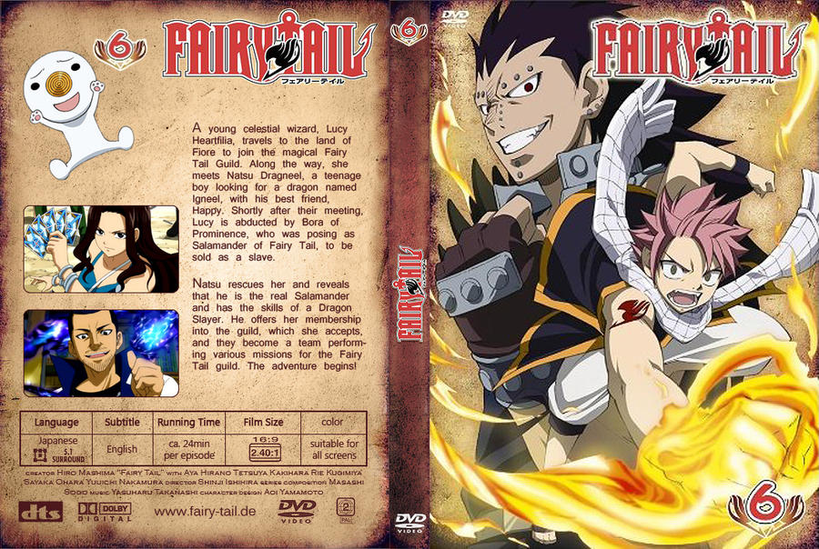 Fairy Tail Custom DVD Cover 06