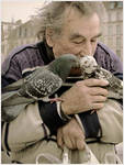 The birds lover by daaram