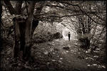 A walk in the forest by daaram