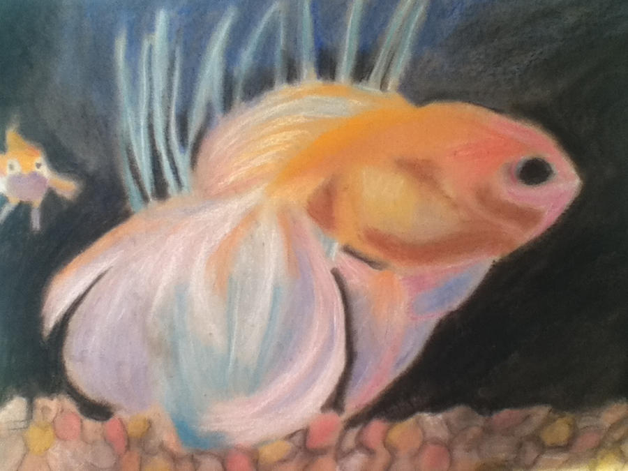 Deviantart 2007 Goldfish Goldfish by nemrac50 on DeviantArt