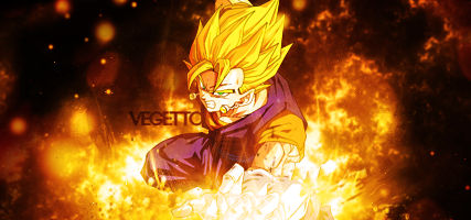 Vegetto