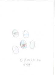 Kizerakian eggs by TenseRebecca